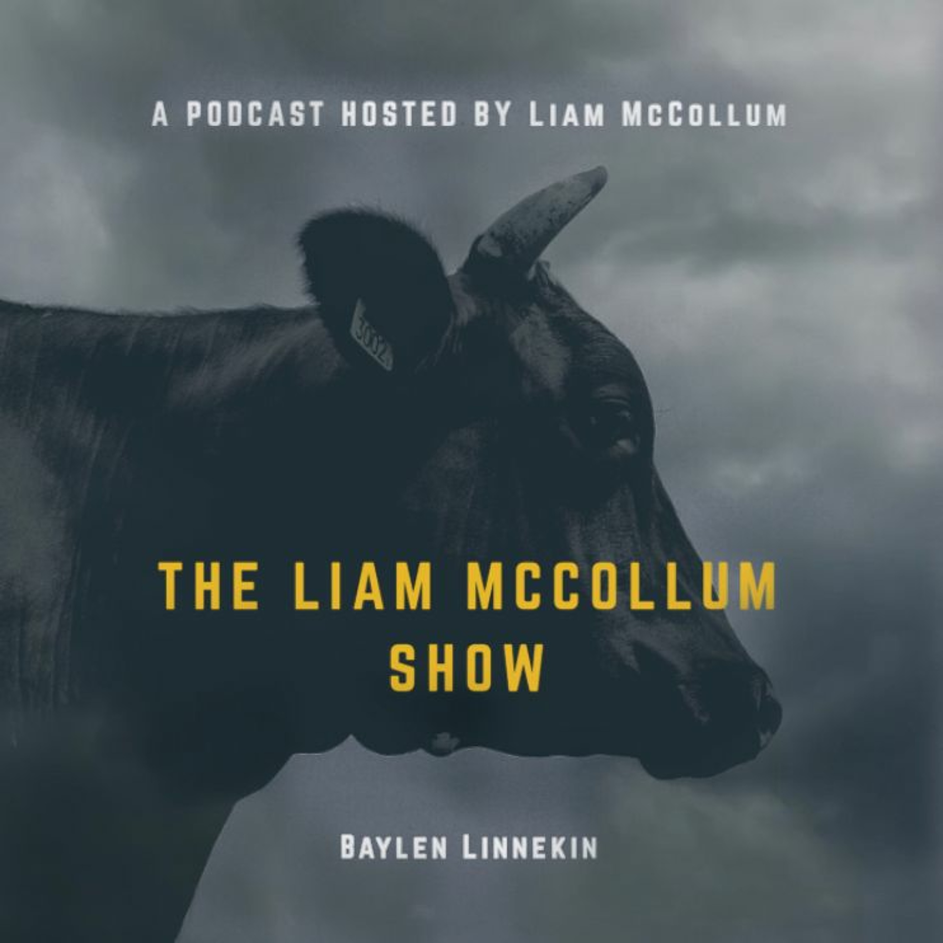 The Liam McCollum Show