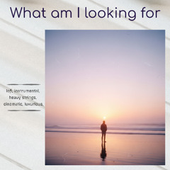 What am I looking for