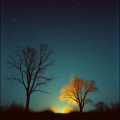 Leises Licht