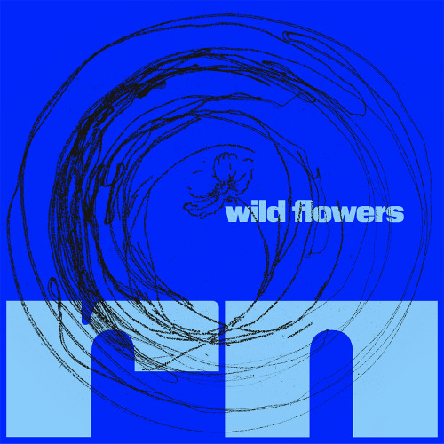 Wild Flowers