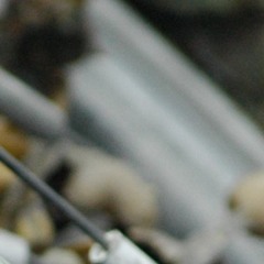 BENNY THE BUTCHER -  BROKEN BOTTLES (GEGAN REFIX)