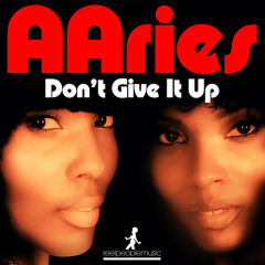 Don't Give It Up (Reel People Rework)