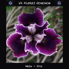 16. Nala - Iris (245 BPM) VA Flores Venenum - Metacortex Records
