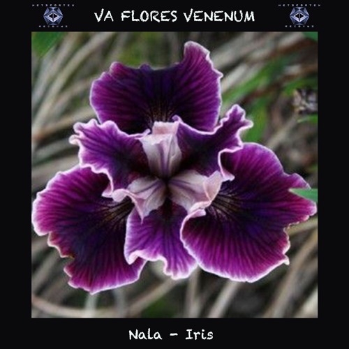 16. Nala - Iris (245 BPM) VA Flores Venenum - Metacortex Records