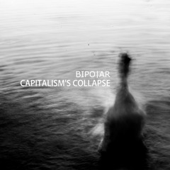 Surplus Value_ Bipolar_ Preview