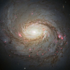 Space Illustration
