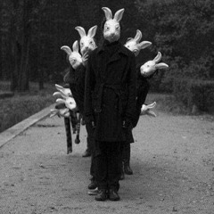 White Rabbit