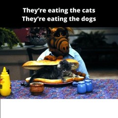 Eating The Cats