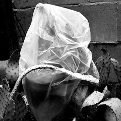 Joy Never Rides Alone