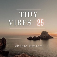 Tidy Vibes vol. 25