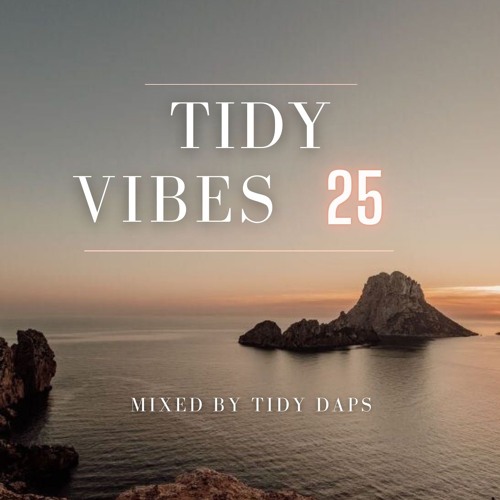 Tidy Vibes vol. 25
