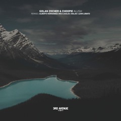 Golan Zocher & Choopie - Alush (Alberto Hernandez & Dulus Remix) [3rd Avenue]
