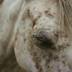 لا شَيْء أنَا!