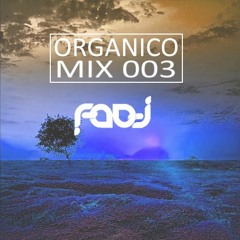 DJ FADI - ORGANICO MIX 003