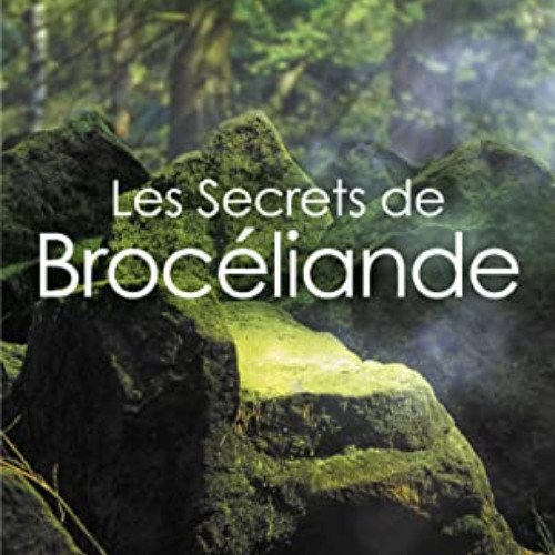 ACCESS PDF 📌 Les Secrets de Brocéliande by  Jean-Luc Bannalec EPUB KINDLE PDF EBOOK