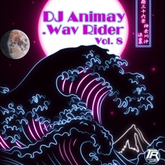 DJ Animay - .Wav Rider vol 8