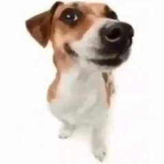 Skid (prod. 2006 Gucci)