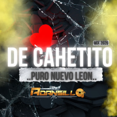 DE CARTONCITO ARRIBA NUEVO LEON 2026 MIX DJ ADANSILLO