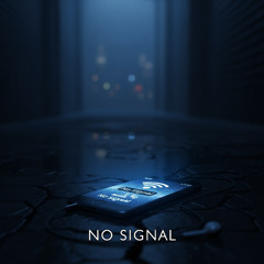 No Signal