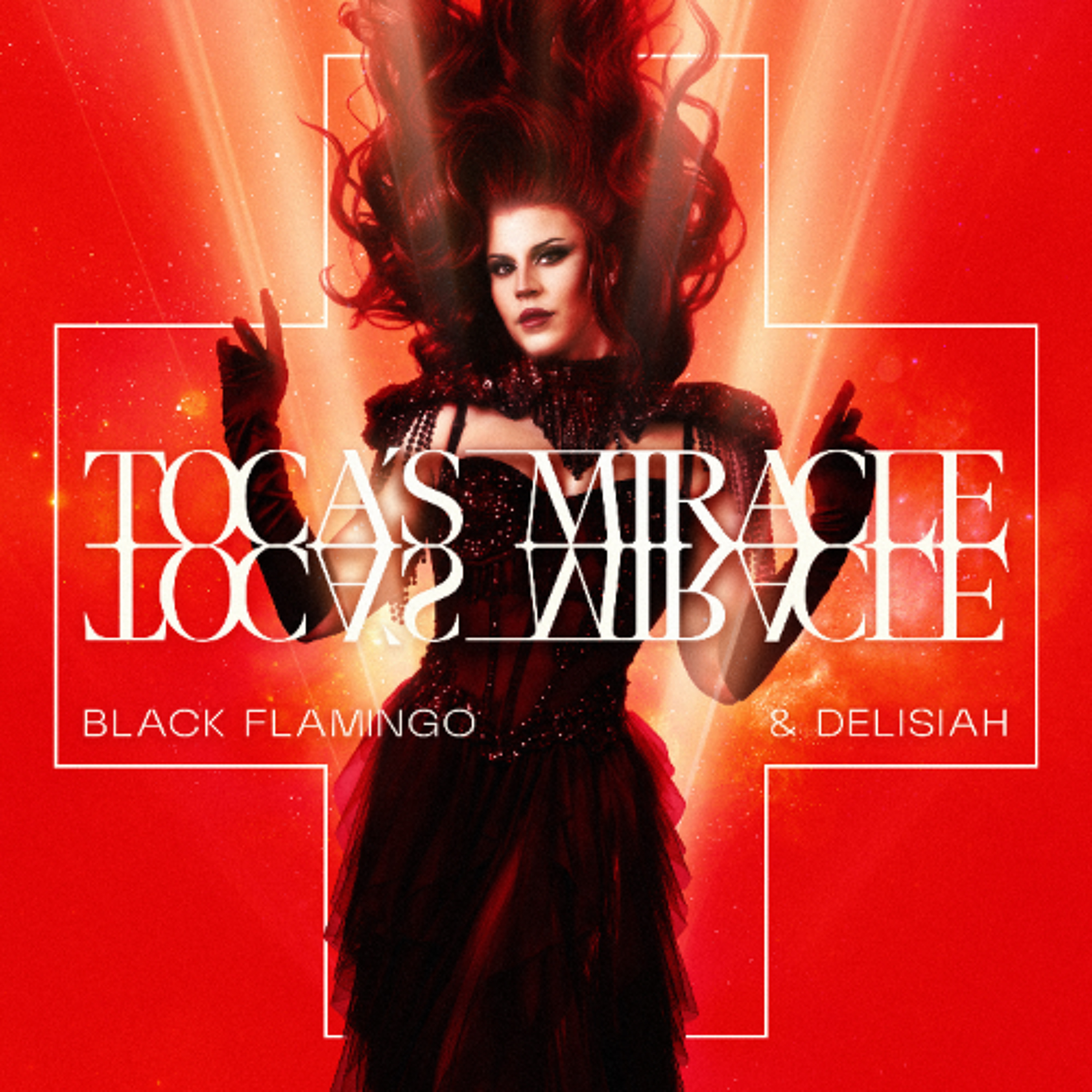 Portada de Black Flamingo Dj