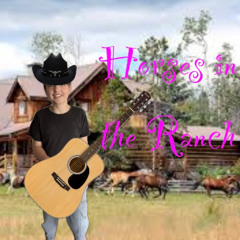 Horses in the ranch