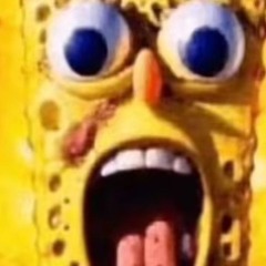geekedoutsponge