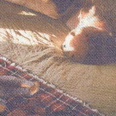 coming into work early (nola bounce mix)