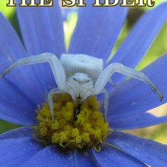 [PDF]✔️Ebook❤️ The Life of the Spider