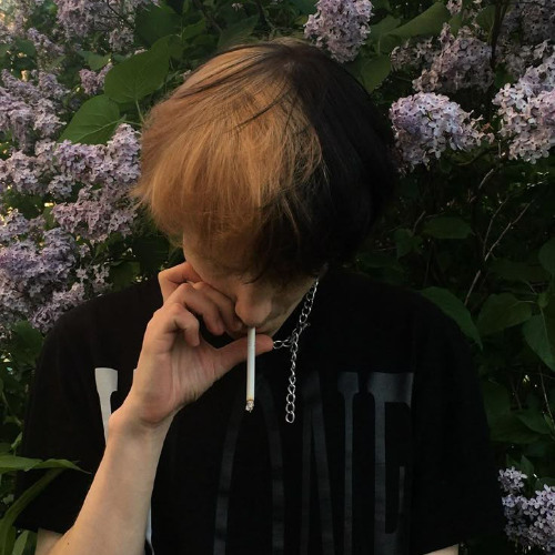 cupsize-я люблю тебя (фулл ии) (no wi-fi connection)