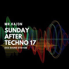 Sunday After Techno 17