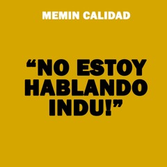 No Estoy Hablando Indu