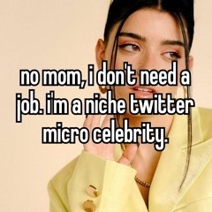 Niche Twitter Micro-Celebrity