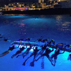 Best Snorkel With Manta Rays Kona Prices Reviews