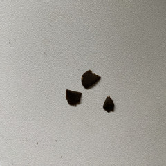 Kunteynir ft Тыша-Гагули