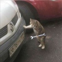 SERVICE UNAVAILABLE - mechanism [BXSSTXWN remix]