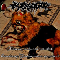 Xanax induced mental handicap/Tiananmen square <3 (2 song EP)