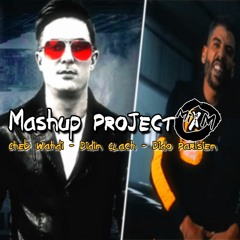 Cheb Wahid - Didin canon 16 - Dido Parisien Mashup Mimo Mix Project X