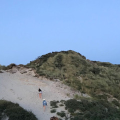 four planets from gia