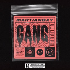 GANG (beat by VZNARE)