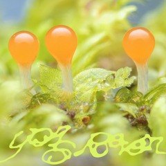 Yas Reven - Slow Pulse [Nehza]