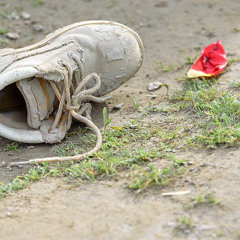 Lost shoe “I want it bad” Tanglewood