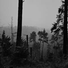 jänner [176]