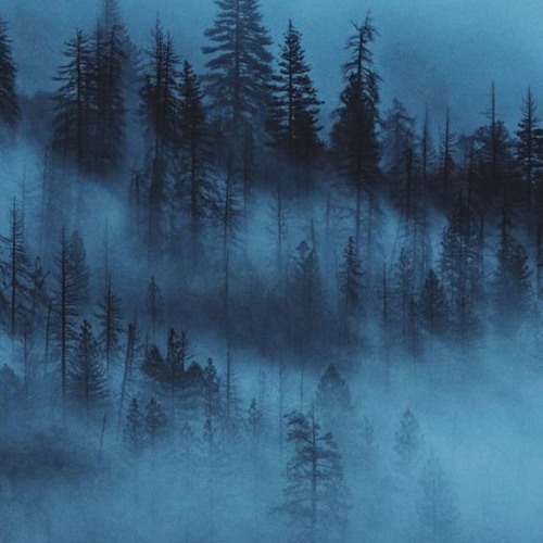 Sojourner -4lienetic