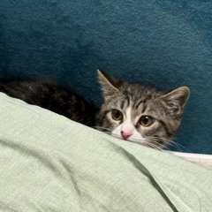 горькая печаль/пластилин(prd. by cutlove)