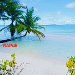 Braddah AISefan (cover)