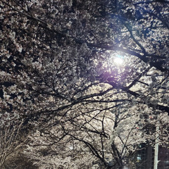 시가 될 이야기