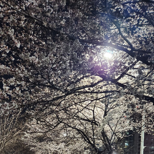 시가 될 이야기