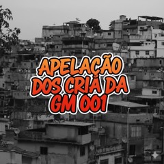 APELAÇÃO DOS CRIA DA GM 001 (DJ KAIO DA GM)  (DJ BRYAN DA GM)