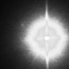 LND (@prodneverforever)