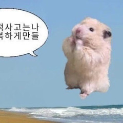 허성현 - 어디야 어디